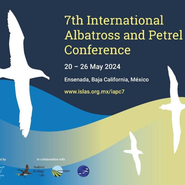 The 7th International Albatross and Petrel Conference takes place next week in Mexico.  You can read the abstracts now