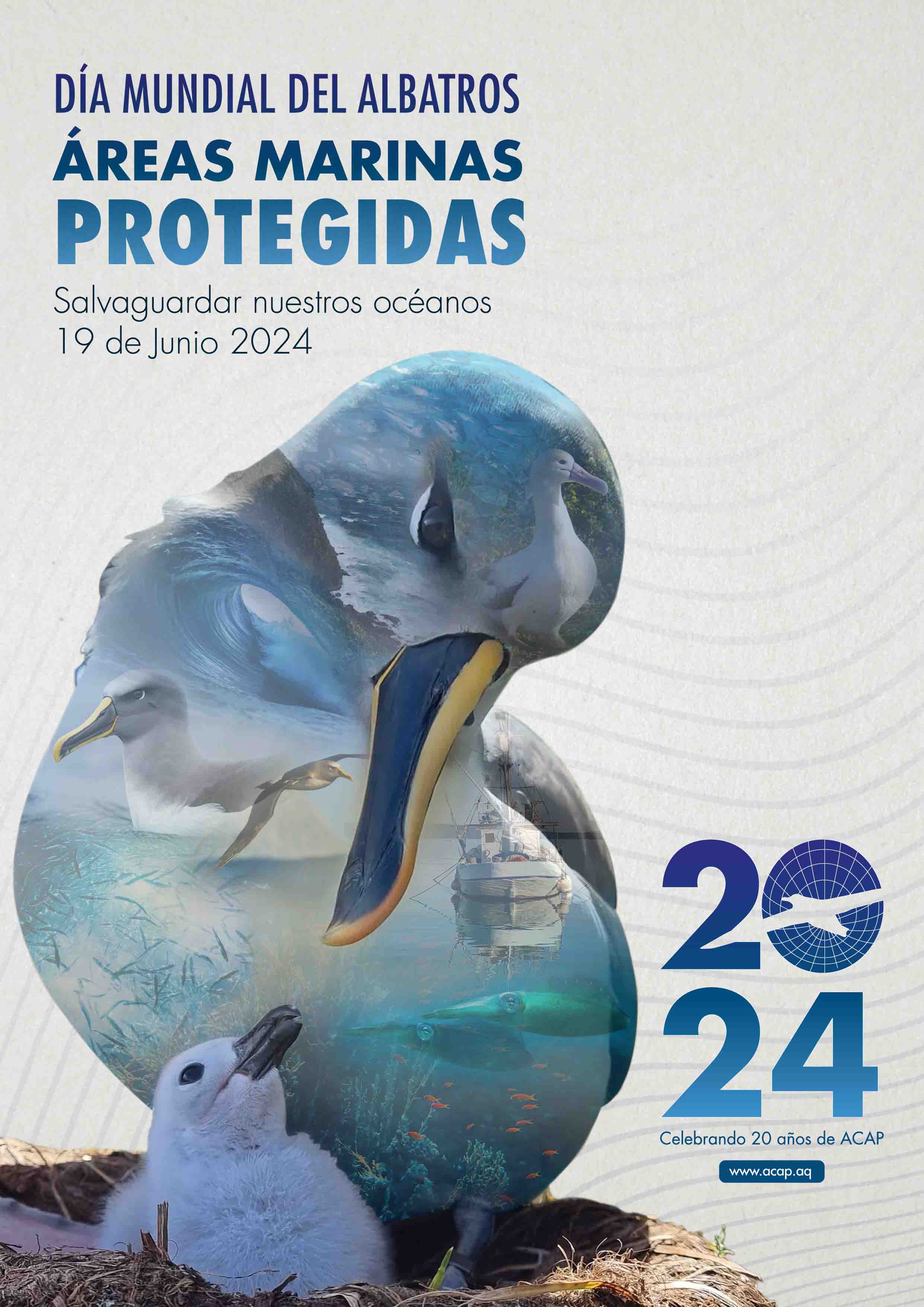 World Albatross Day 2024 Poster - Spanish